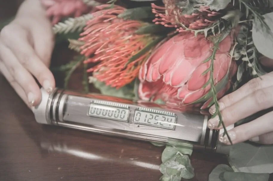 エクニス（ecniS）がオレンジ色のきれいな花の前に置かれている様子